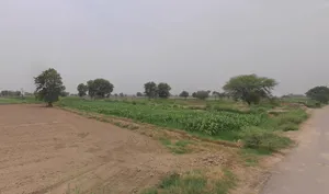 Gangajalghati, West Bengal 722133, India preview 2