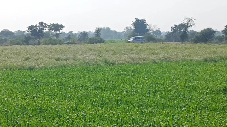 Bhawanpur, Uttar Pradesh, India