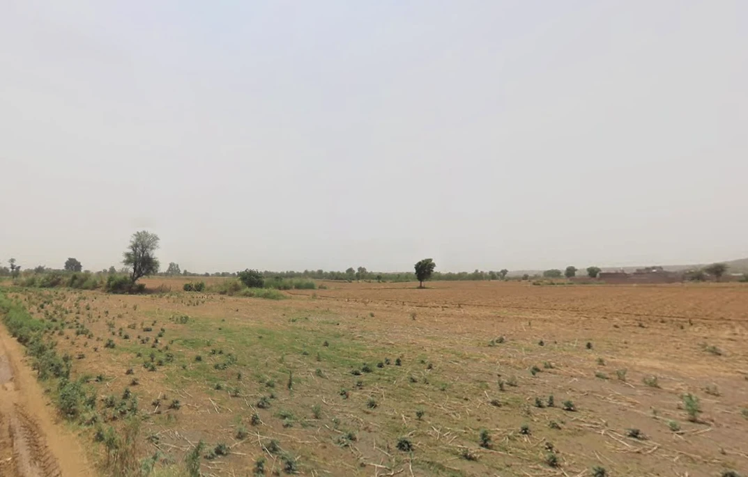 Chuliana, Haryana 124501, India