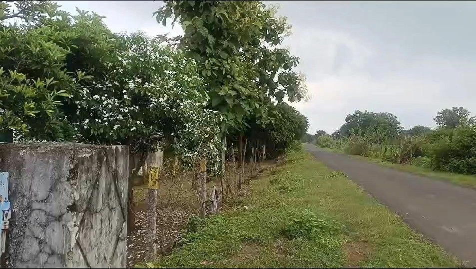 Hinoti Singorgarh, Madhya Pradesh 470880, India preview 3