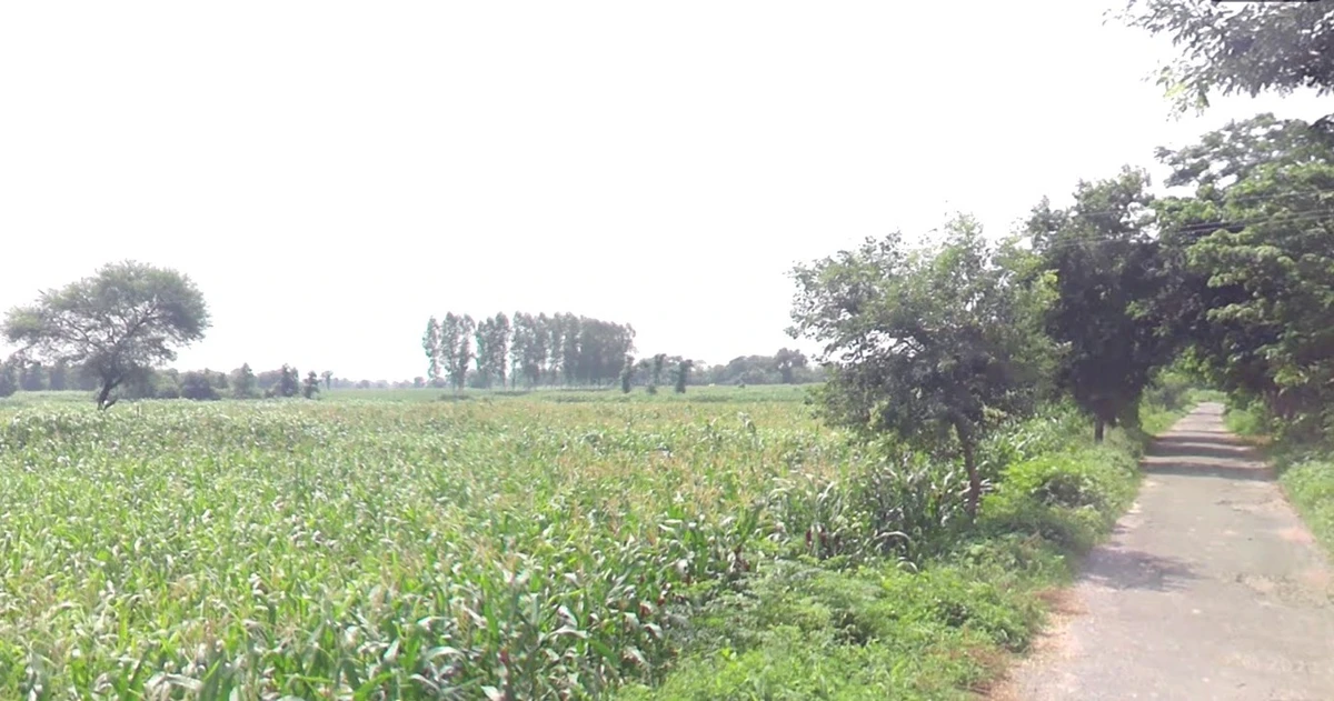 Maldepur, Uttar Pradesh, India