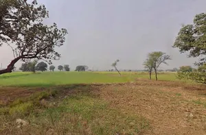 Rewa, Madhya Pradesh, India preview 3