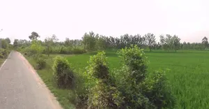 Rampur Nagla Chatol, Uttar Pradesh 204211, India preview 2
