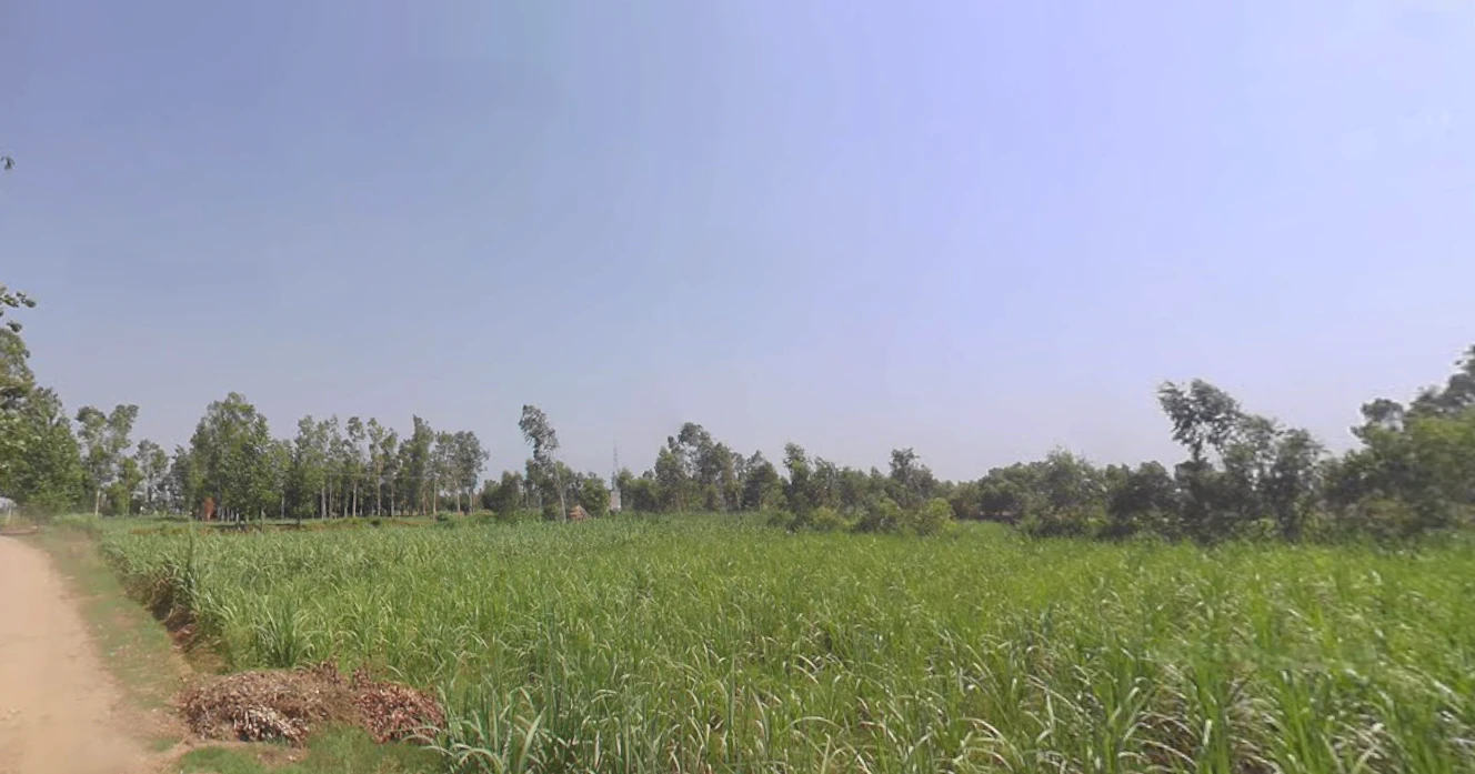 Hasanpur, Uttar Pradesh 244241, India