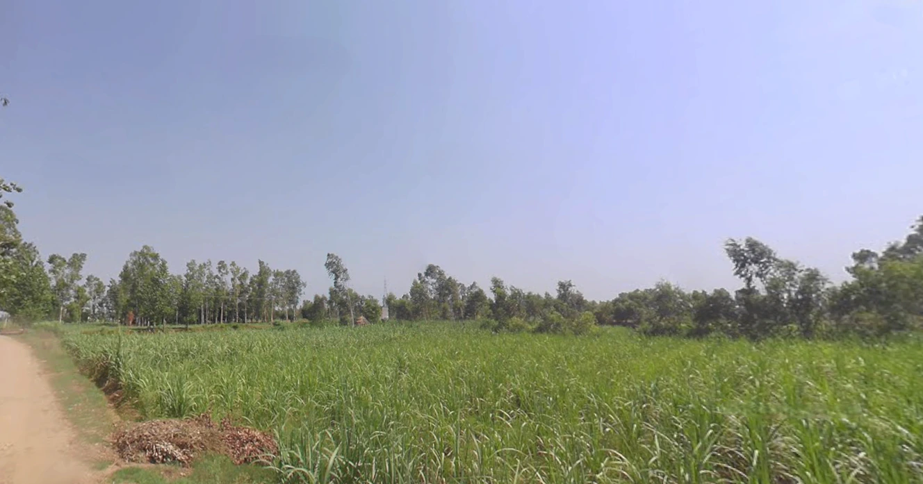 Hasanpur, Uttar Pradesh 244241, India