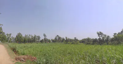 Hasanpur, Uttar Pradesh 244241, India preview 2