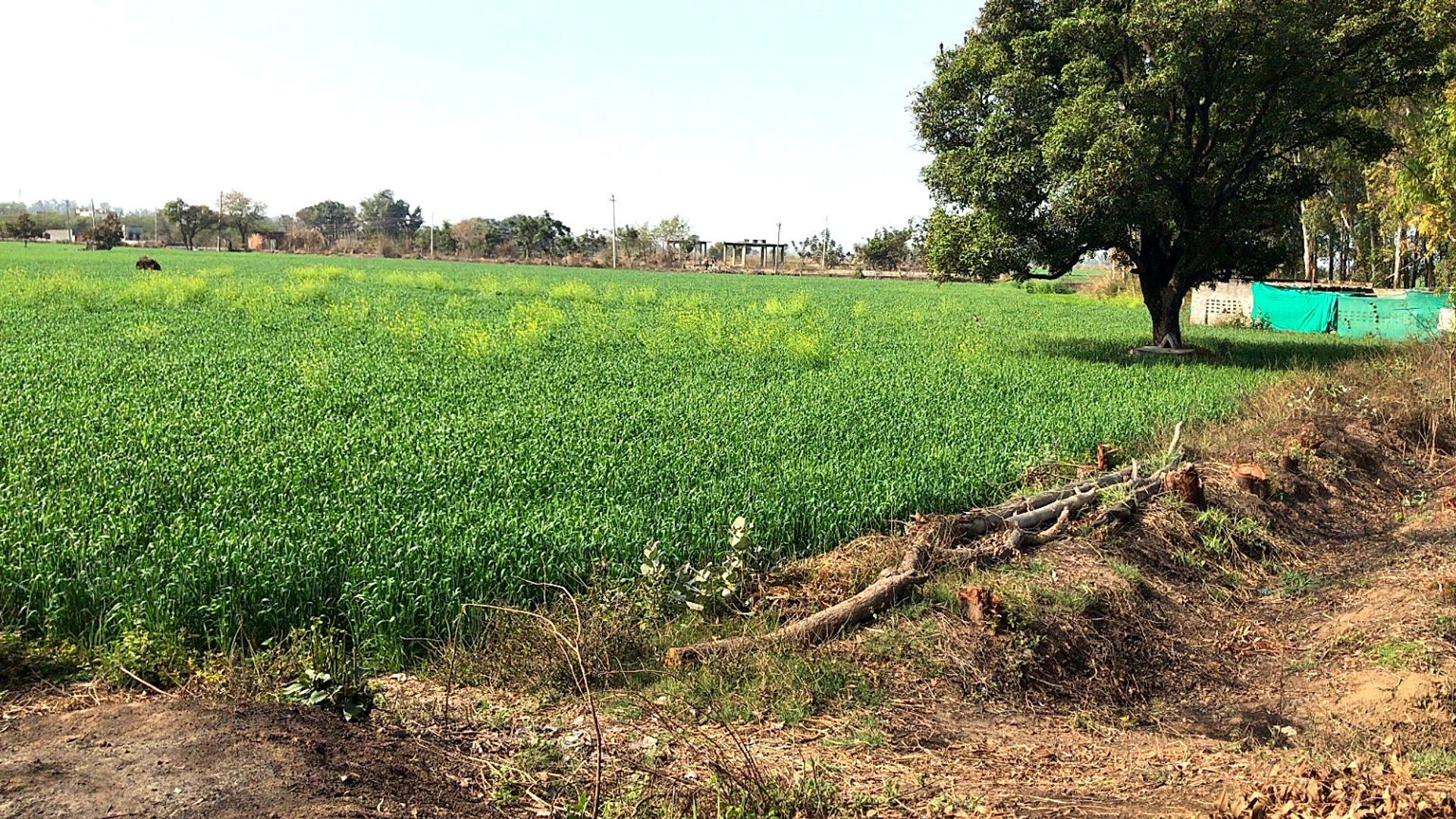 Kharkhoda, Haryana 131402, India