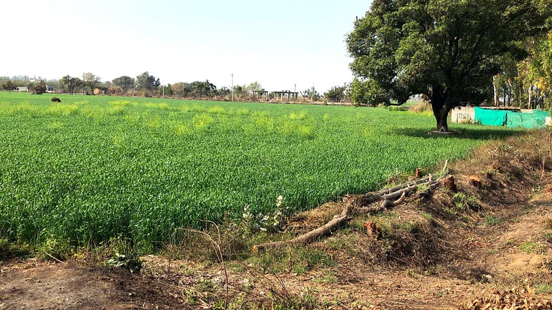 Kharkhoda, Haryana 131402, India preview 2