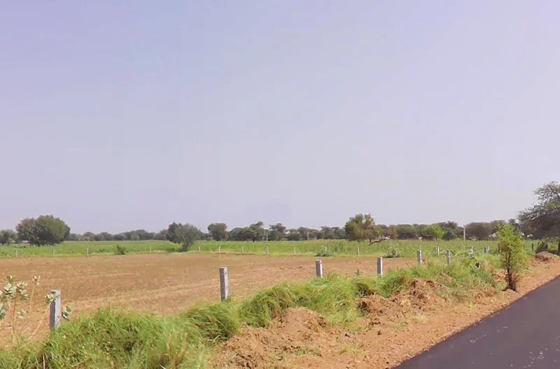 Sungarpur, Haryana, India preview 3