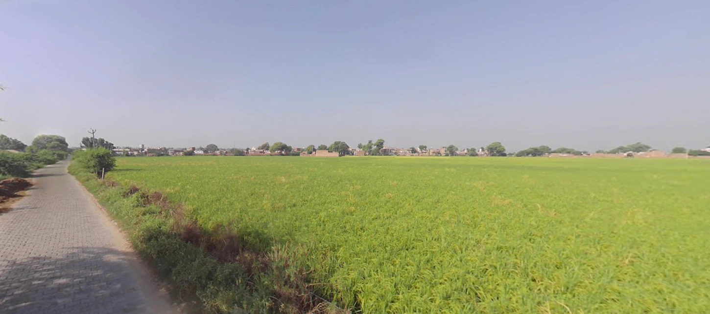 Rania, Haryana 125076, India
