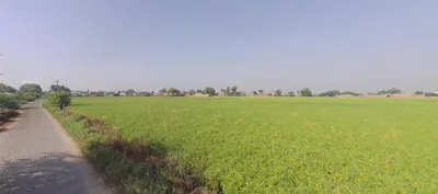 Rania, Haryana 125076, India preview 2