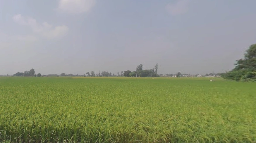 Machhike, Punjab 142039, India