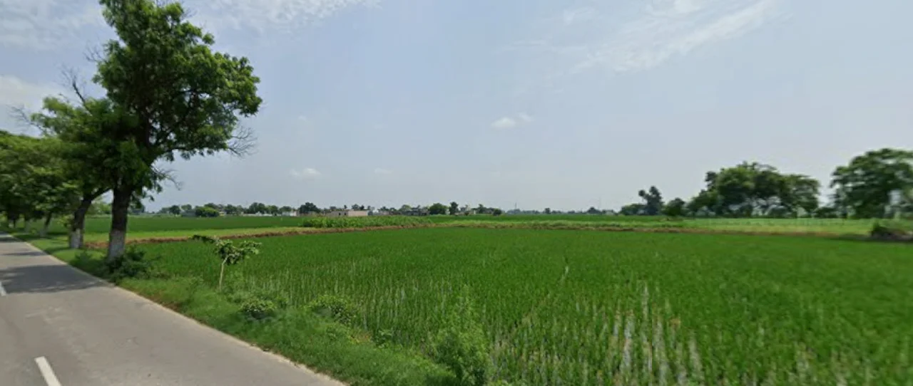 Kalwa, Punjab 147021, India preview 3