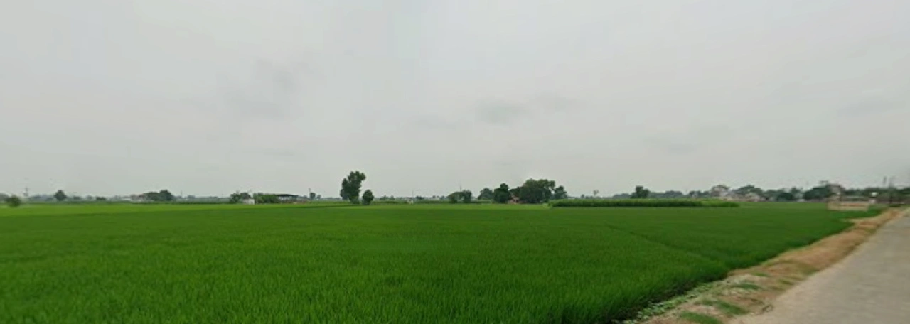 Fagan Majra, Punjab 147006, India
