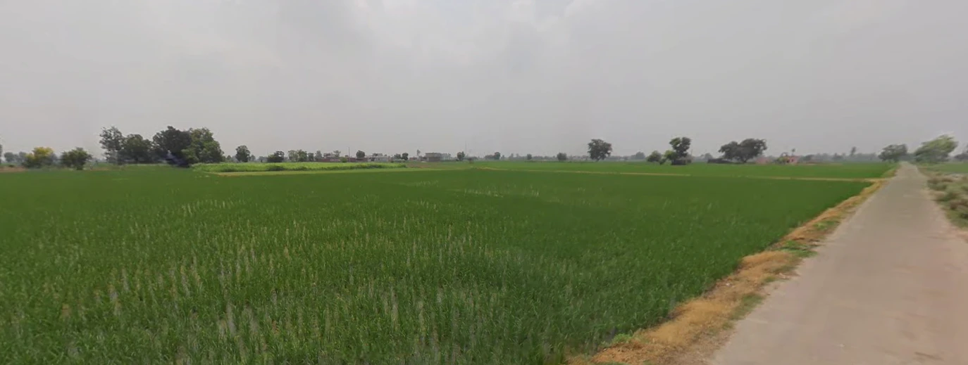 Dittupur, Punjab, India