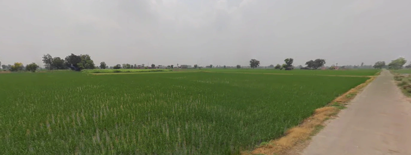 Dittupur, Punjab, India
