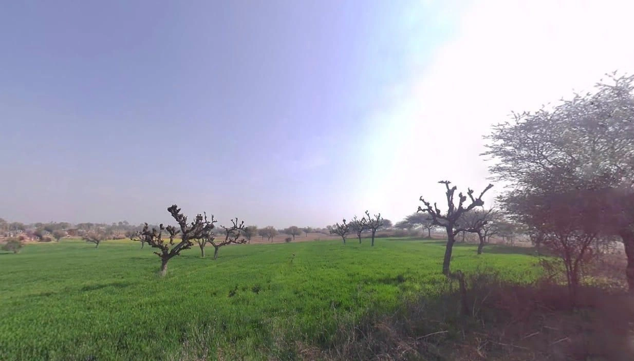 Khachariawas, Rajasthan 332710, India