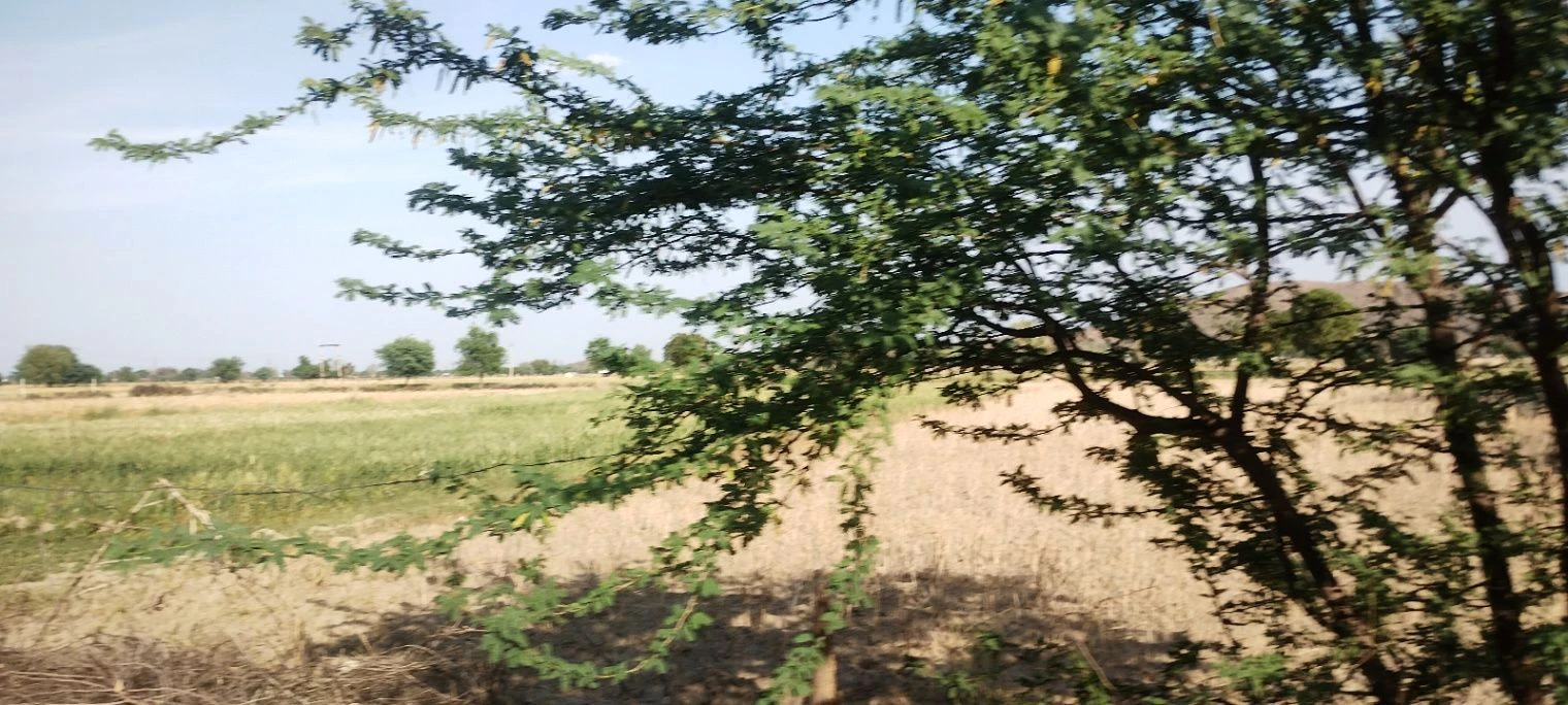 Ghat, Rajasthan, India