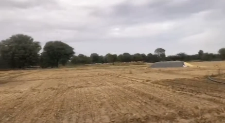 23C6+MHR, Sri Ganganagar, Gharsana, Rajasthan 335711, India