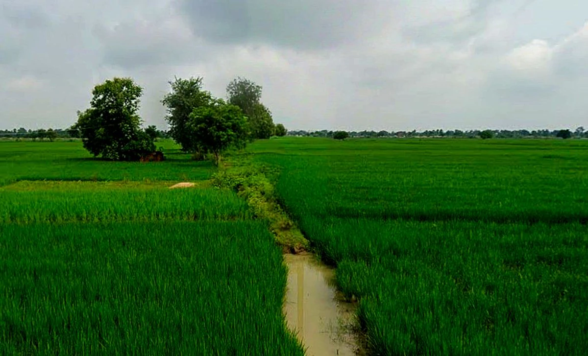 H888+PV5, Deokar, Chhattisgarh 491331, India