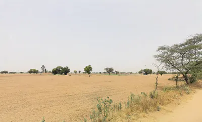 Goria, Haryana 124142, India preview 2