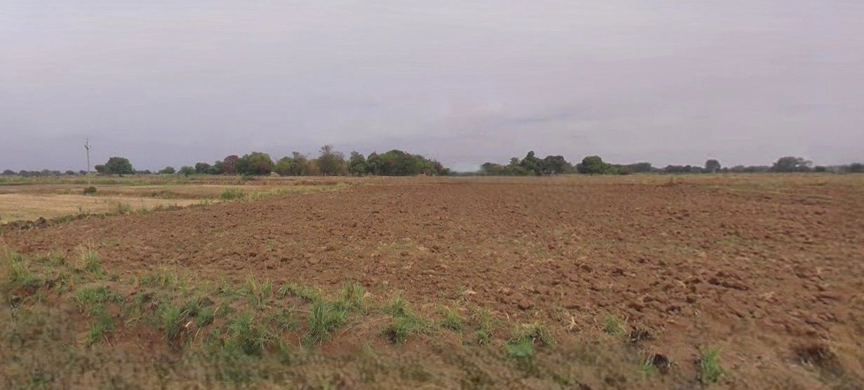 Barnagar, Madhya Pradesh 456771, India