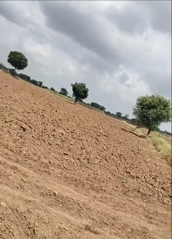 G299+Q79, Ajmer, Kalanada, Rajasthan, India