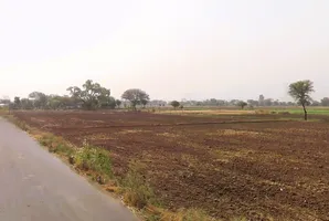 Karola, Haryana 122504, India preview 3
