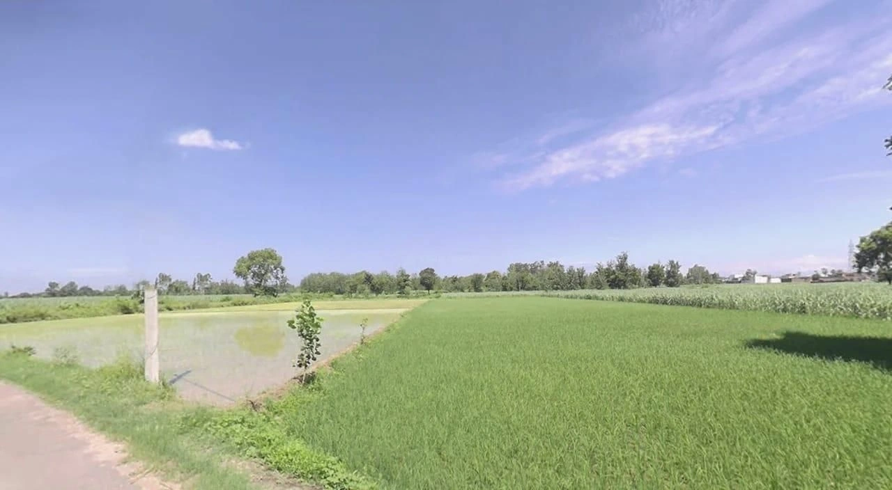 Rishikesh, Uttarakhand, India preview 3