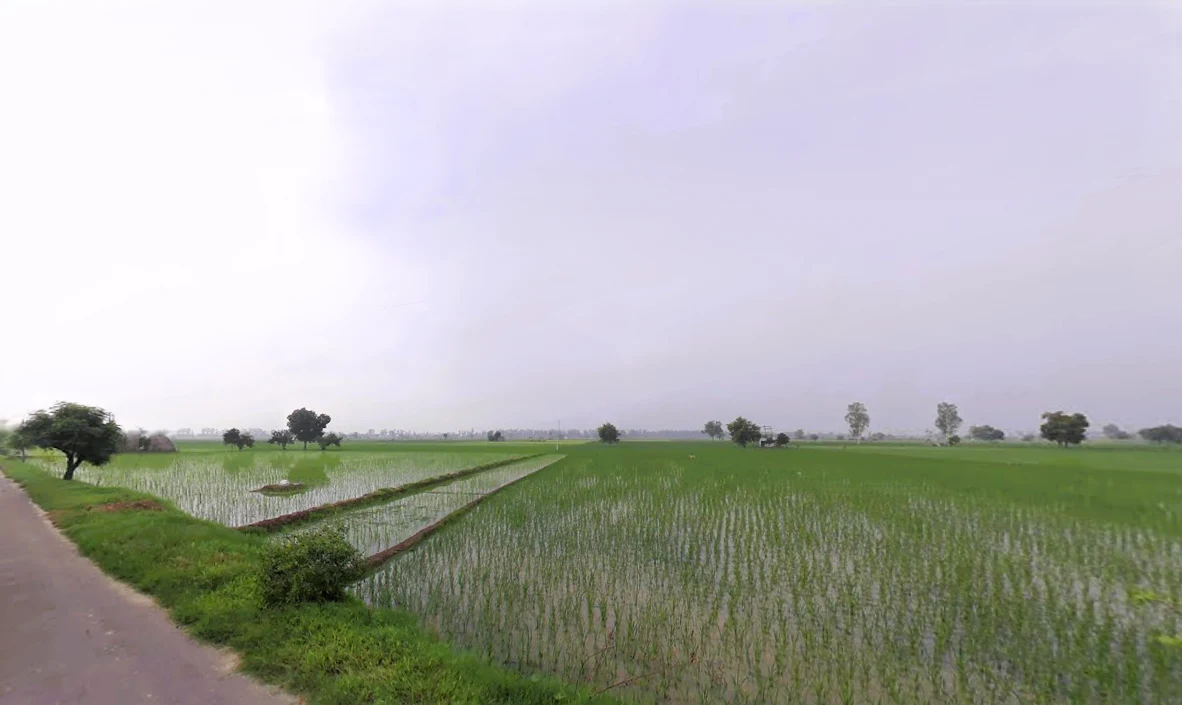 Assandh, Haryana 132039, India