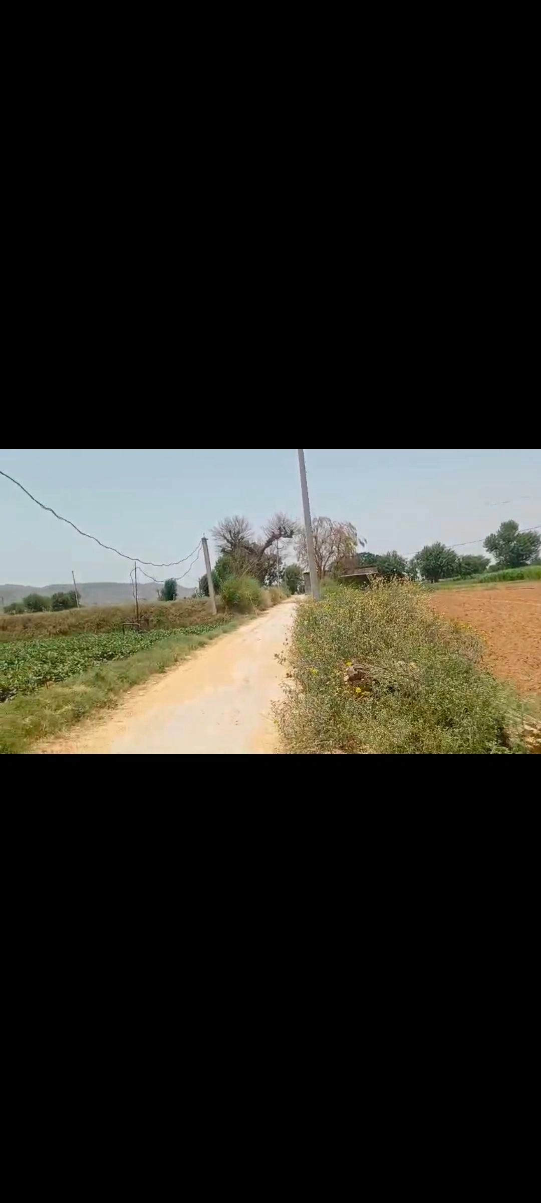 Jawanpura, Viratnagar, Kotputli-Behror, Rajasthan, India preview 6