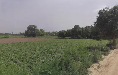 5843+2P4, Palwalrural, Haryana 121102, India preview 2