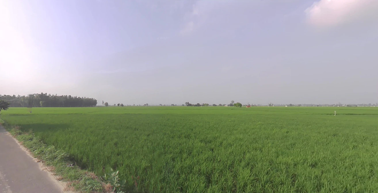 Gotka, Uttar Pradesh 250344, India