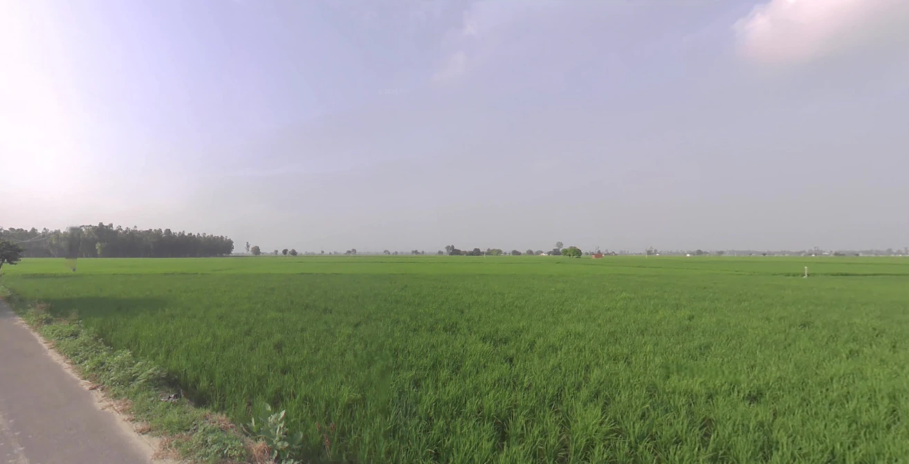Gotka, Uttar Pradesh 250344, India