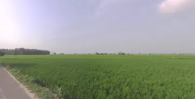 Gotka, Uttar Pradesh 250344, India preview 2