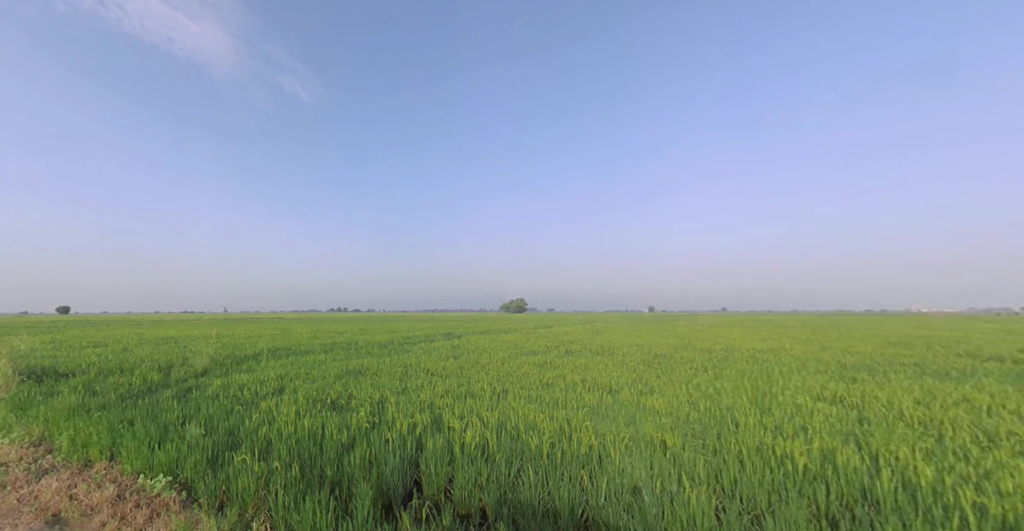 X38W+GJ Shipole, Maharashtra, India