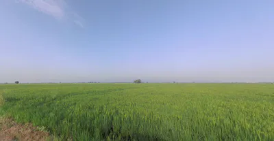 X38W+GJ Shipole, Maharashtra, India preview 2