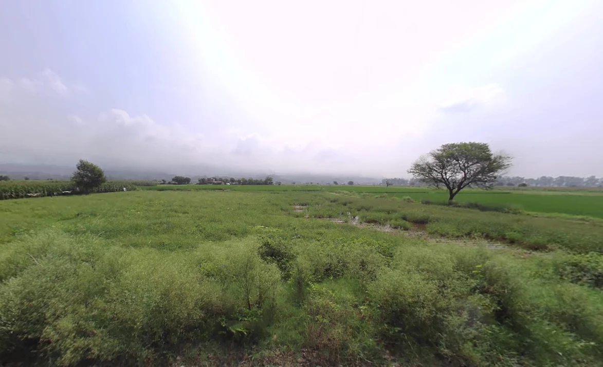 Raipur Rani, Haryana 134204, India