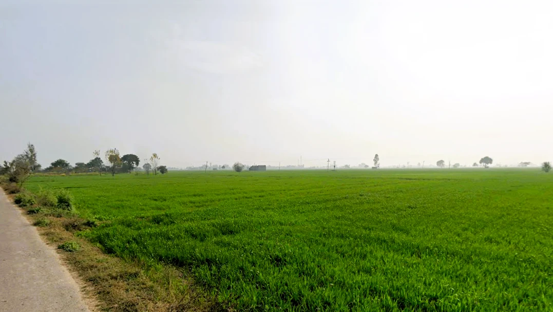 Govind Majra, Haryana, India