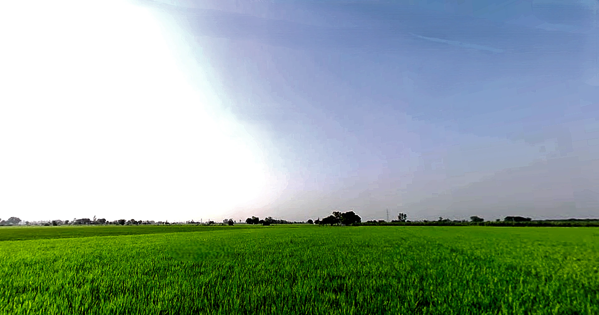 Rajpura, Punjab, India