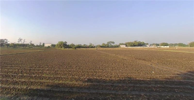 Danawada, Gujarat, India