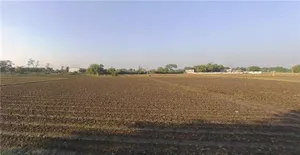 Danawada, Gujarat, India preview 2