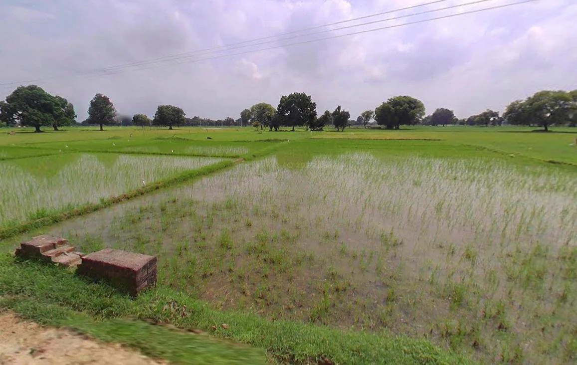 Lucknow, Uttar Pradesh, India