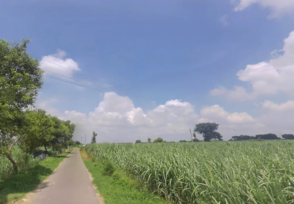 Khurja, Uttar Pradesh 203131, India preview 3