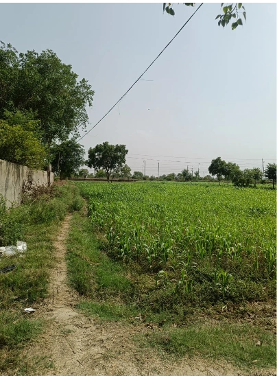 HJ67+99 Kandela, Sagar, Madhya Pradesh, India