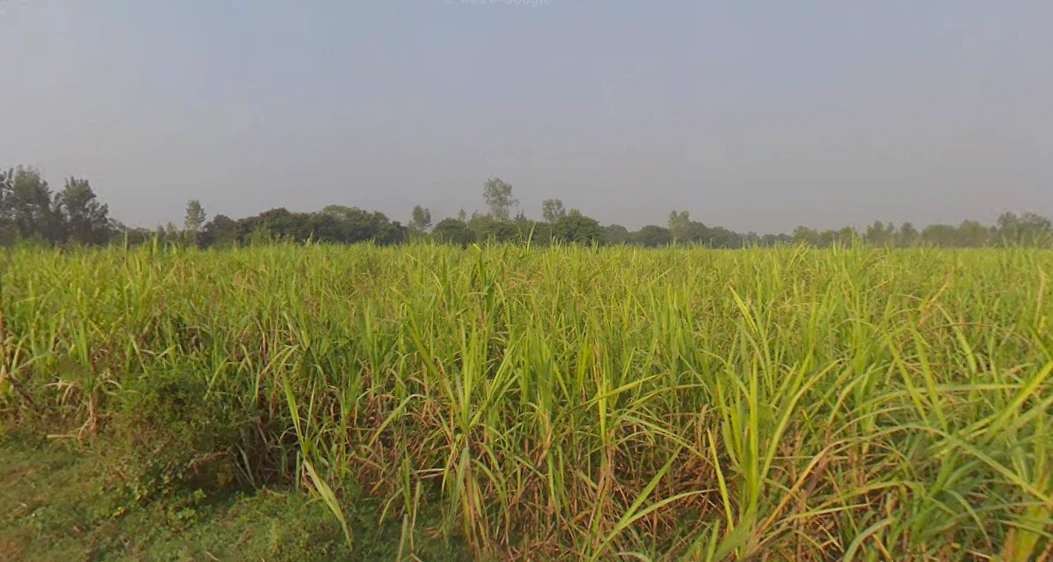 Tajpur, Uttar Pradesh 246735, India
