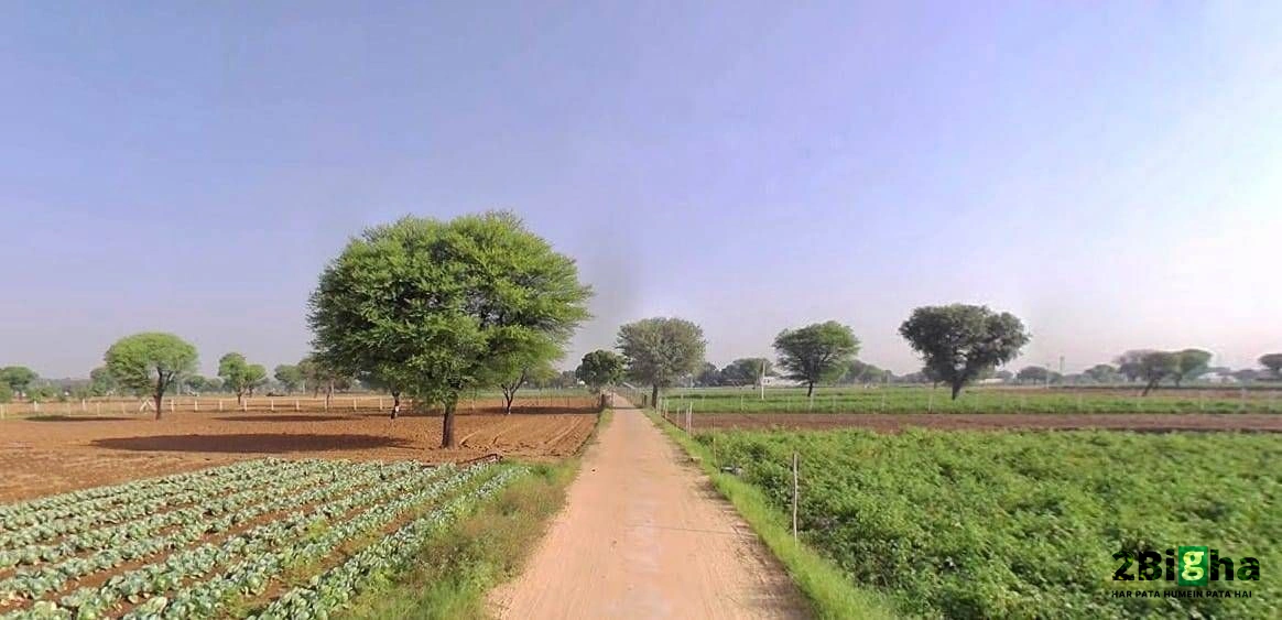 Jatwara, Rajasthan 321609, India