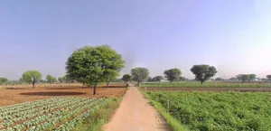 Jatwara, Rajasthan 321609, India preview 2
