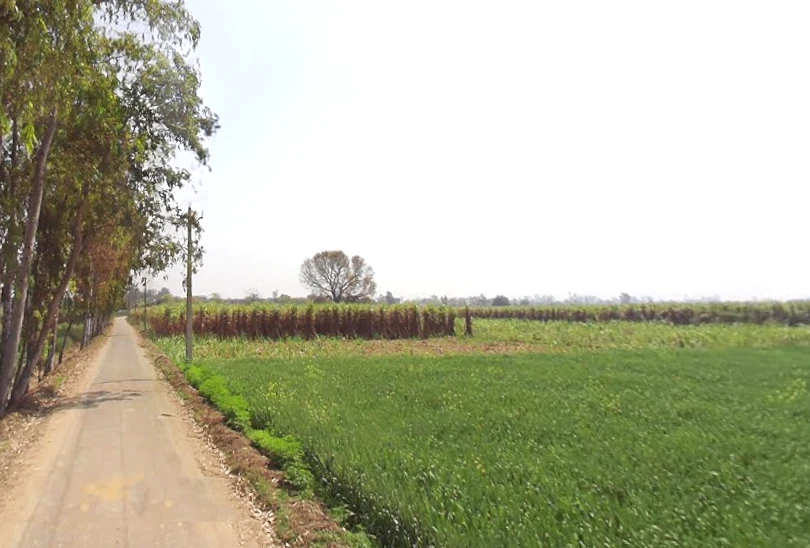Phalauda, Uttar Pradesh 250401, India