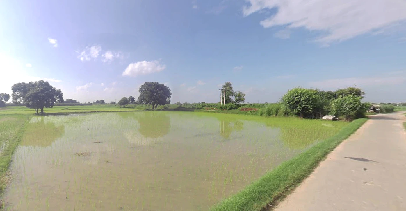 Khyalipur, Uttar Pradesh 244235, India